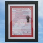 Framed U/C Bay lamp from XH558